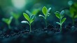 © Theeranan - Bright green seedlings breaking through the earth, capturing the promise of renewal.