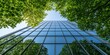 © Mona -33 Desing - Modern office building with glass wall and green leaves view sky.