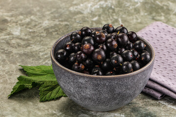 Ripe black currant in the bowl