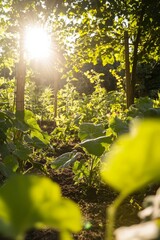 Wall Mural - Organic vegetable garden with raised beds and companion planting. Sunlight filtering through green leaves, Generative AI 