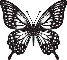 Beautiful butterfly insect silhouette illustration isolated on a white background