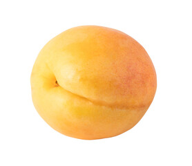 Sticker - apricots isolated. png file