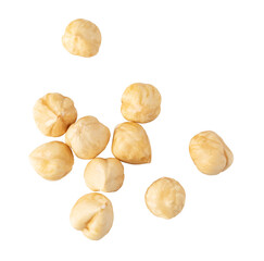 Canvas Print - Hazelnuts isolated. png file