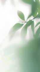 Wall Mural - Soft green leaves blur