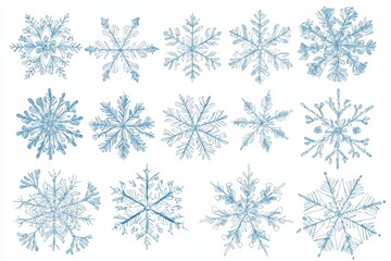 Leinwandbilder - The set of different snowflakes is isolated on a white background. Macro photo of real snow crystals.