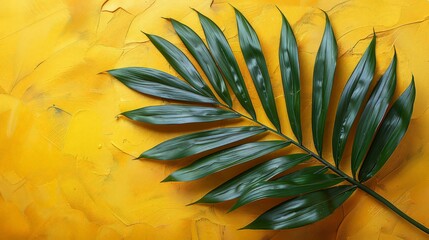 Bright yellow painted wall framed with green tropical palm leaves, sunlight with shadows patterns, summer background.