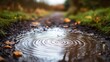 © Hansa & Party - Raindrops creating overlapping ripples in a puddle on a muddy path