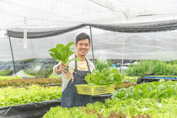 Wall Mural - Owner farmer working and Asian man gardener in agriculture industry. Hydroponic agricultural system. Business small concept