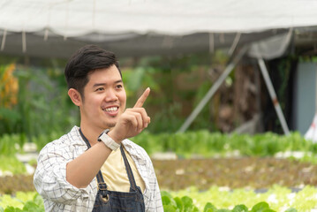 Wall Mural - Owner farmer working and Asian man gardener in agriculture industry. Hydroponic agricultural system. Business small concept