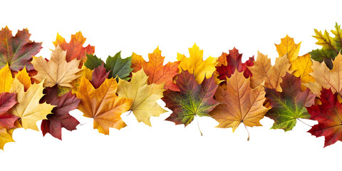 Wall Mural - Autumn Leaves Border Isolated on White Transparent Background, PNG Element. Colorful autumn leaves arranged in a border, various shades of red, orange, yellow, and green for seasonal designs