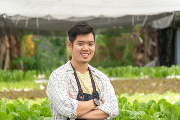 Wall Mural - Owner farmer working and Asian man gardener in agriculture industry. Hydroponic agricultural system. Business small concept