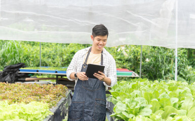 Wall Mural - Owner farmer working and Asian man gardener in agriculture industry. Hydroponic agricultural system. Business small concept