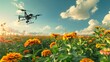 © laliz - SolarPowered Drone Soaring Over Vibrant Zinnia Field Under Sunny Skies