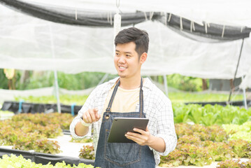 Wall Mural - Owner farmer working and Asian man gardener in agriculture industry. Hydroponic agricultural system. Business small concept