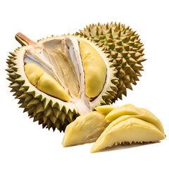 Wall Mural - Fresh and delicious looking durian