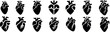 © Arafat - Anatomical heart vector silhouette icon set. heartbeat, cardiovascular, anatomy, medical, health, cardiology illustration, biology, organ, human heart collection