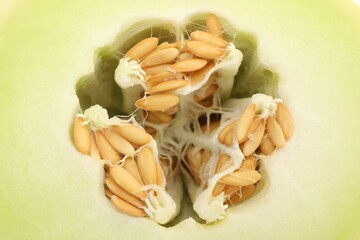 Cut fresh ripe honeydew melon as background, closeup