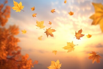 Wall Mural - autumn leaves falling at sunset