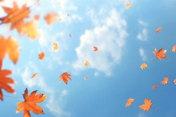 Wall Mural - autumn leaves sky background