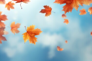 Wall Mural - autumn leaves falling blue sky