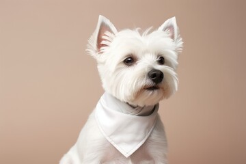 Wall Mural - dog terrier mammal animal.