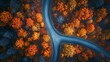 © lucegrafiar - Scenic aerial view of forest road with fall colors. Banner background