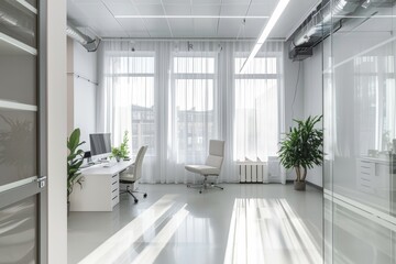 Wall Mural - A modern office with white walls and large windows for natural light