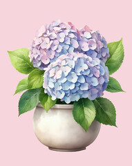 Wall Mural - a pot of Hydrangea, watercolor illustration