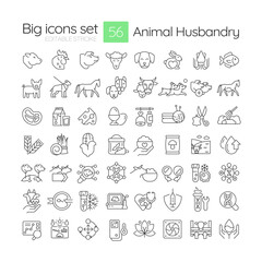 Poster - Animal husbandry linear icons set. Livestock cultivation. Ranching, horticulture. Welfare, healthcare. Customizable thin line symbols. Isolated vector outline illustrations. Editable stroke