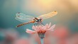 © Raitalinn - A delicate dragonfly rests on a pink flower, bathed in soft, gentle light.