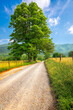 © SeanPavonePhoto - Sparks Lane in Cades Cove near Gatlinburg, Tennessee, USA
