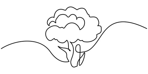 Wall Mural - Continuous single drawn one line broccoli vegetables hand-drawn picture silhouette. Line art. Doodle, one continuous single line of green broccoli isolated on white background. vegetable food concept