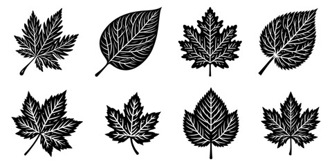 Wall Mural - collection of autumn leaf silhouettes - set of autumn leaves isolated on transparent background