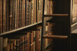 © Sanc/peopleimages.com - Books, library and row of literature on shelf, vintage aesthetic and textbooks for education. Bookcase, university study and spine of classical fiction collection, philosophy volume and information