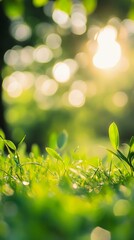 Sunlight dances through lush green foliage, creating a magical bokeh effect. Fresh grass sprouts reach towards the warm glow, embodying nature's renewal and hope.