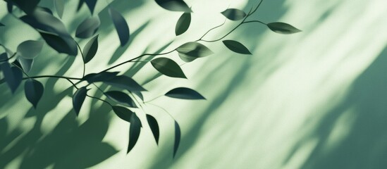 Poster - Elegant leaf shadows on a soft green natural backdrop Ideal for showcasing products nature perfumes promotional sales banners presentations or cosmetics 3D render