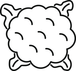 Poster - Simple line drawing of a cauliflower head with leaves, isolated on a white background