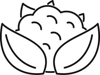 Sticker - Simple icon of a cauliflower with leaves growing on a farm, ready to be harvested and turned into delicious food