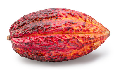 Wall Mural - Fresh cocoa fruit or cocoa pod isolated on white background. Clipping path.