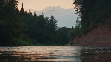 Wall Mural - Rapid river flowing through the forest