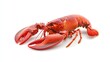 © Plaifah - A fresh lobster with its claws spread out, placed against a pristine white background, showcasing its vibrant red color and detailed texture.