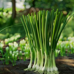 Wall Mural - A bunch of fresh green scallions in a garden setting.