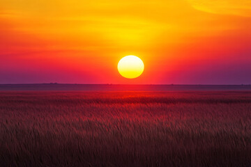 Wall Mural - A horizon view of a beautiful sunset on a vast african field. Sun is massive and cover a marge part of the image. Sun is vibrant orange. Make the sun super big, massive