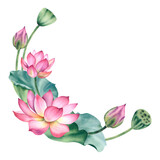 Watercolor pink lotuses on a white background. Water lilies are hand painted. A composition with a lotus. A template for the design of postcards. A bundle for the clipart of spa salons and zen design