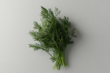 A fresh bunch of dill herbs arranged on a light surface.