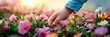 © Inlovehem - Close-up of a child's hand touching vibrant flowers in a garden, capturing the essence of nature and innocence at sunrise.