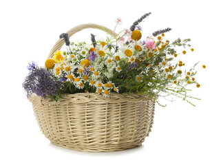 Poster - Beautiful wildflowers in wicker basket isolated on white