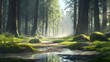 © Johann - Beautiful forest landscape with a small stream, sunlight shining through the trees, and mist rising from puddles on the ground