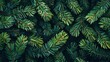 © Anastasiia - Festive seamless pattern of lush fir branches creating a joyful Christmas atmosphere all year round