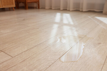 Sticker - Puddle of liquid on wooden floor indoors, closeup. Space for text